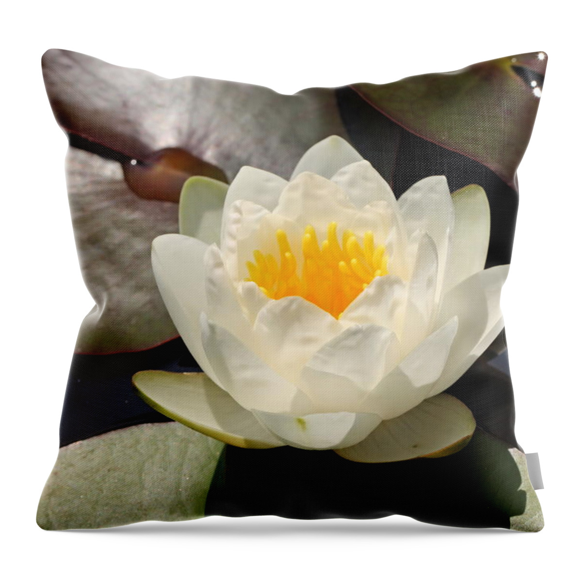 Waterlily Throw Pillow featuring the photograph Pure by Katherine White
