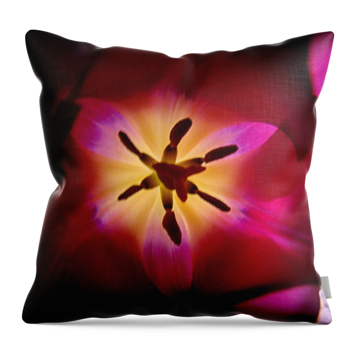 Tulip Throw Pillow featuring the photograph Purple Hues by Nick Kloepping