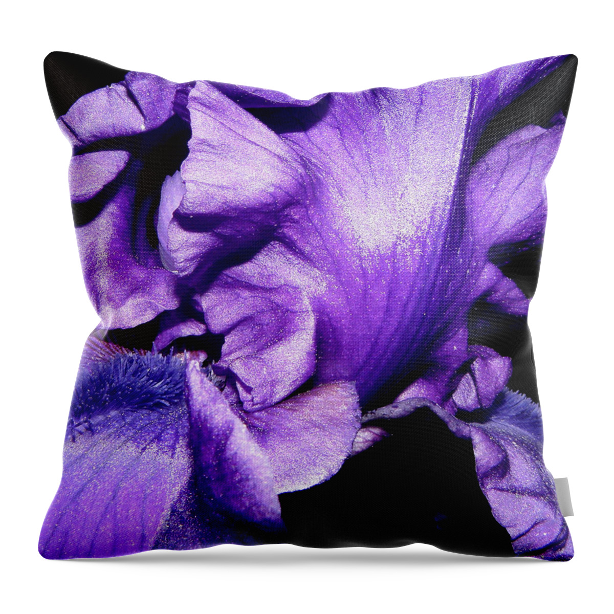 Iris Throw Pillow featuring the photograph Purple Passion by Kim Galluzzo