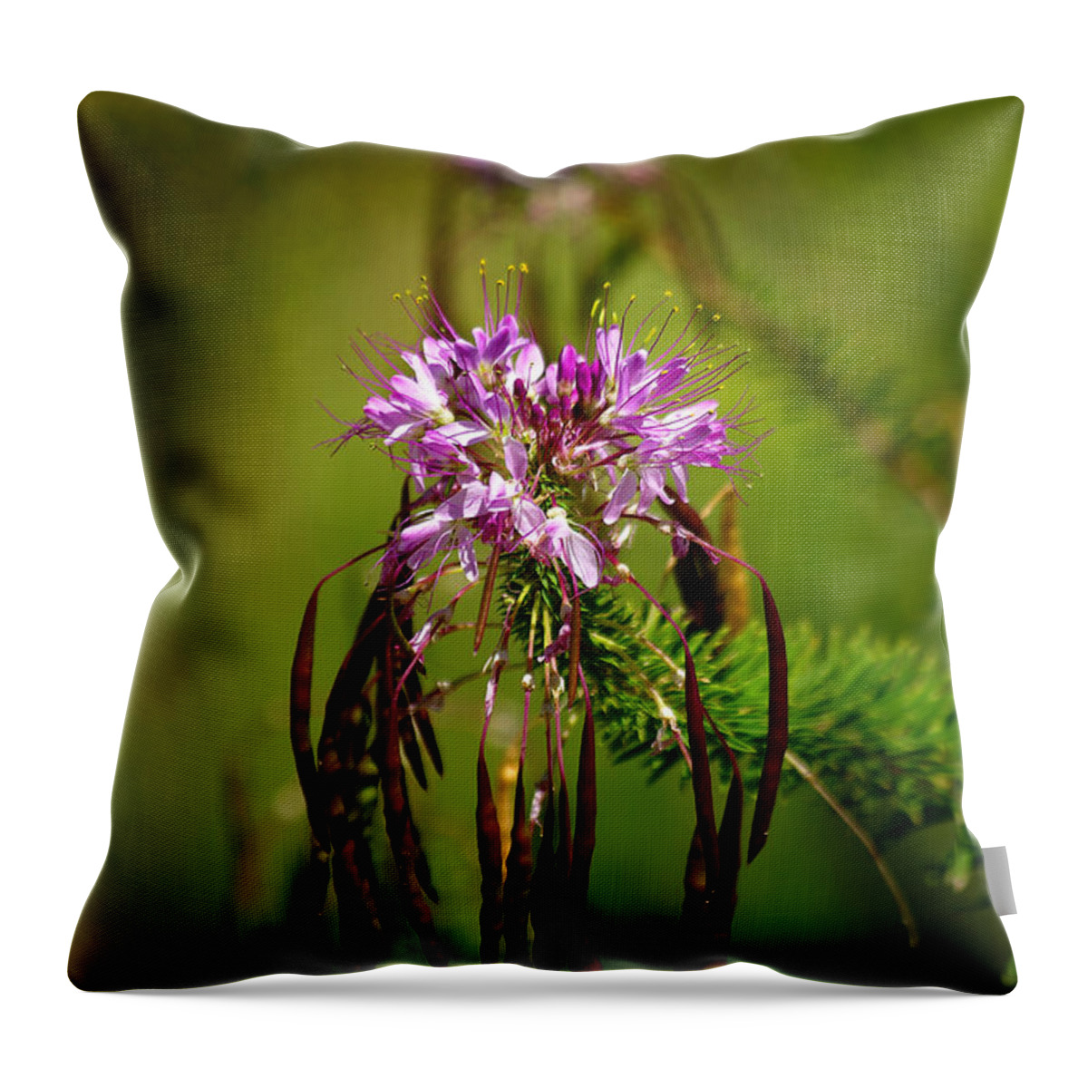 Lava Beds Throw Pillow featuring the photograph Purple Pizzazz by Vicki Pelham