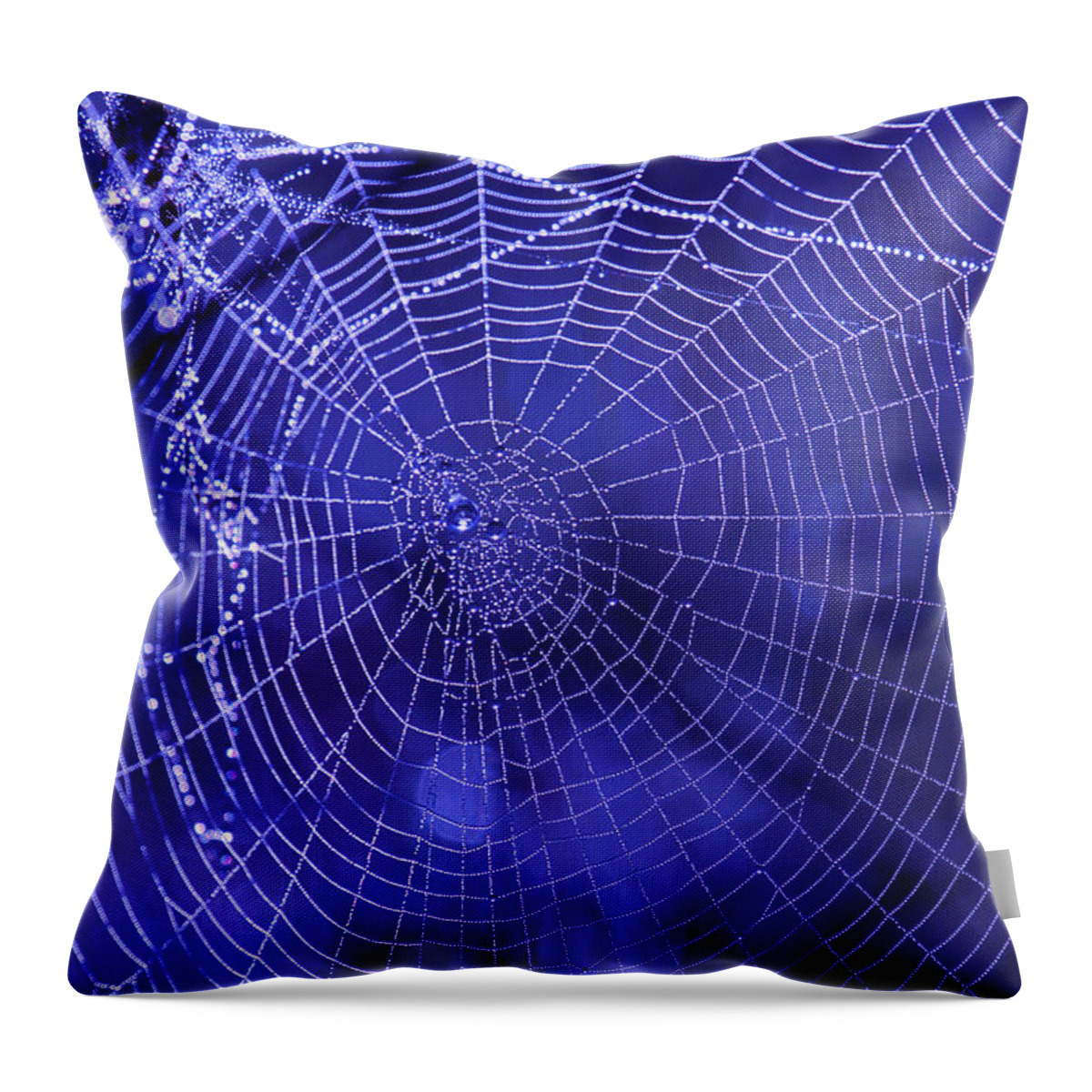 Spider Prints Throw Pillow featuring the photograph Purple Spiderweb by Paul Marto
