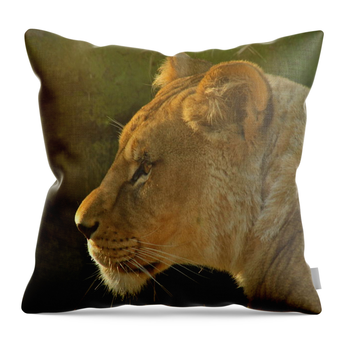 Lion Throw Pillow featuring the photograph Pursuit of Pride by Laddie Halupa