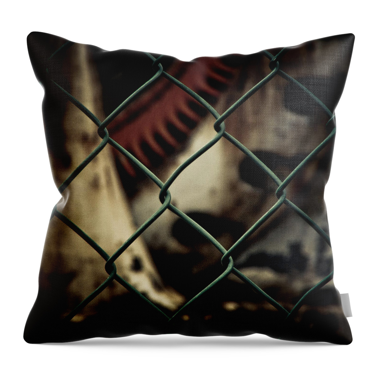 Fence Throw Pillow featuring the photograph Putting up the Guard by Jessica Brawley