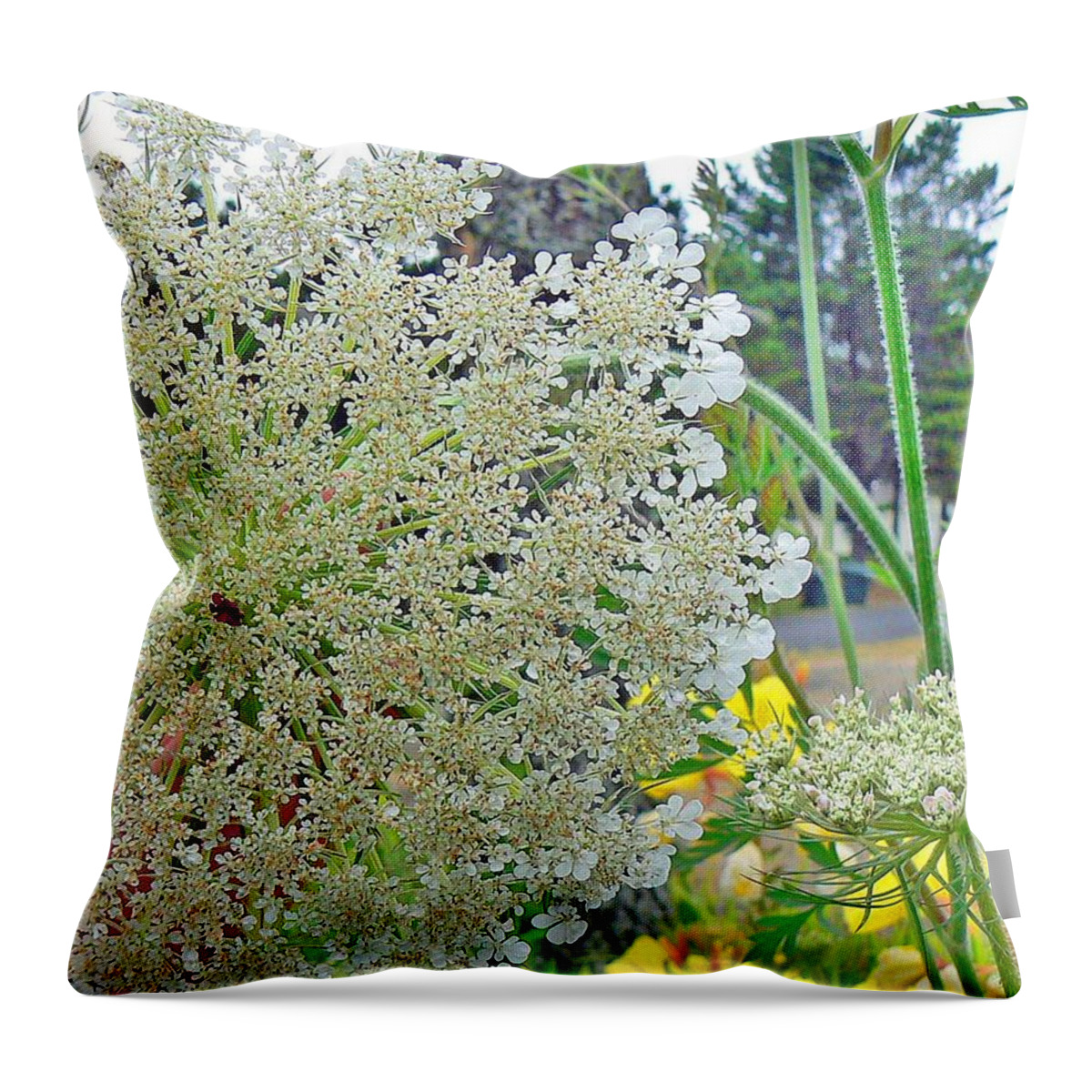 Pamela Patch Throw Pillow featuring the photograph Queen Anne's Lace by Pamela Patch