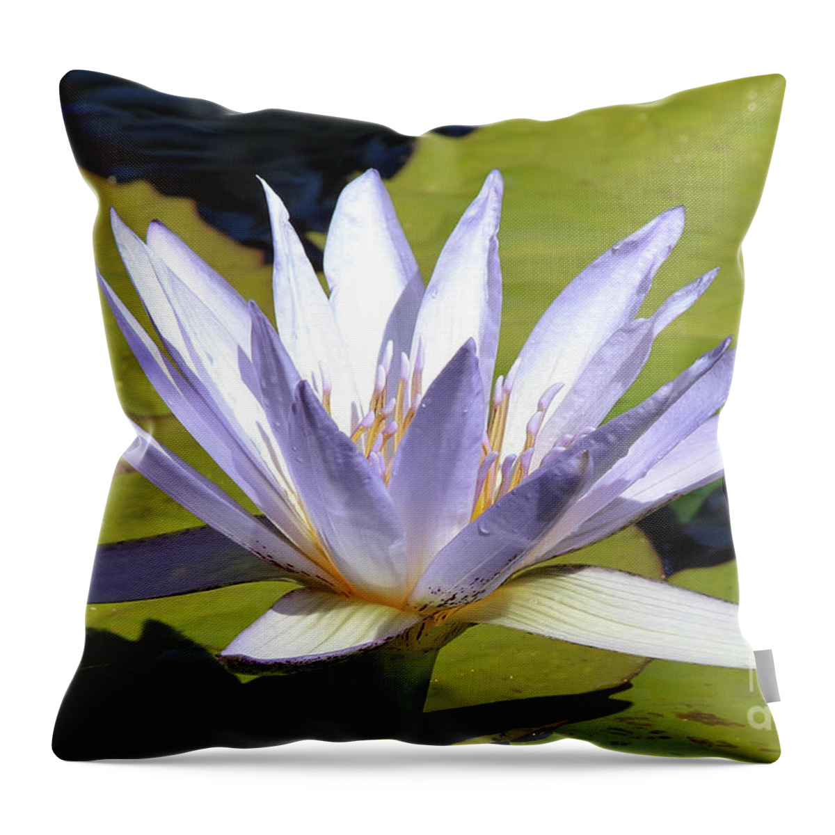 Flower Throw Pillow featuring the photograph Queen of the Pond by Teresa Zieba