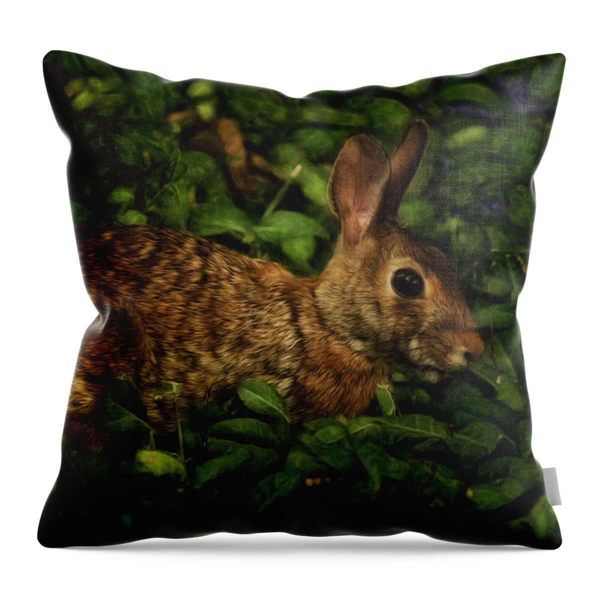 Nature Throw Pillow featuring the photograph Rabbit by Linda Tiepelman