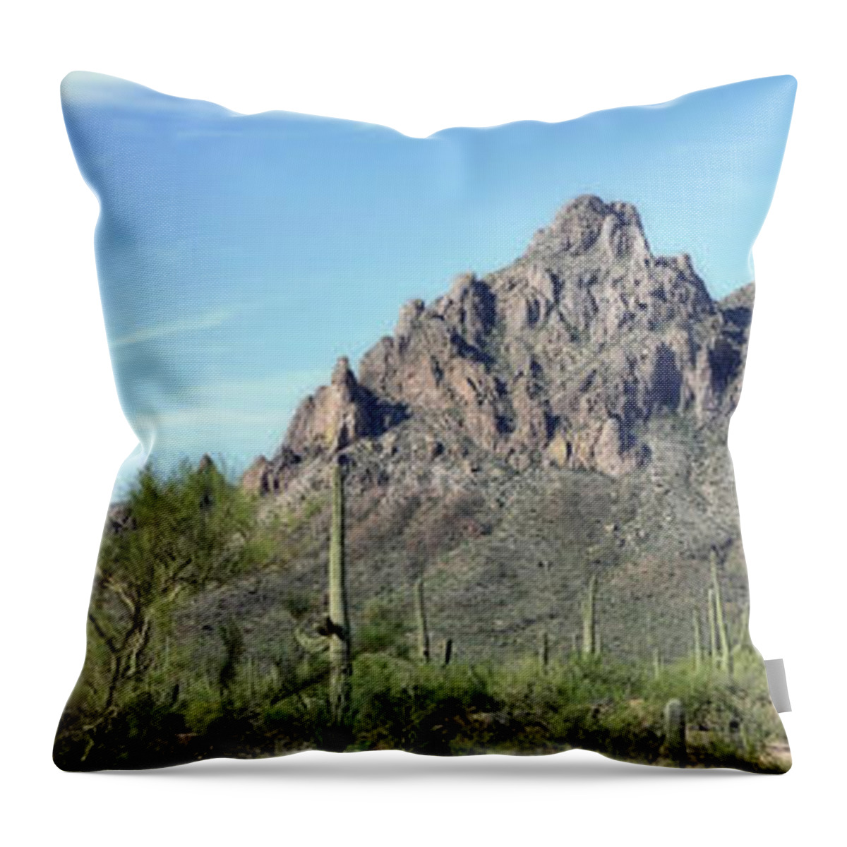 Desert Throw Pillow featuring the photograph Ragged Top Mountain Panorama by Donna Greene