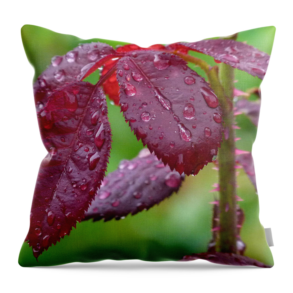 Leaf Throw Pillow featuring the photograph Rain Soaked by Juergen Roth