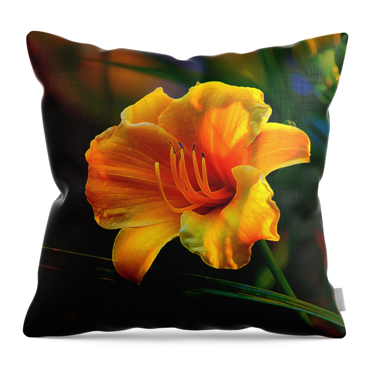 Daylily Throw Pillow featuring the photograph Rainbow Daylily Heat by Bill and Linda Tiepelman