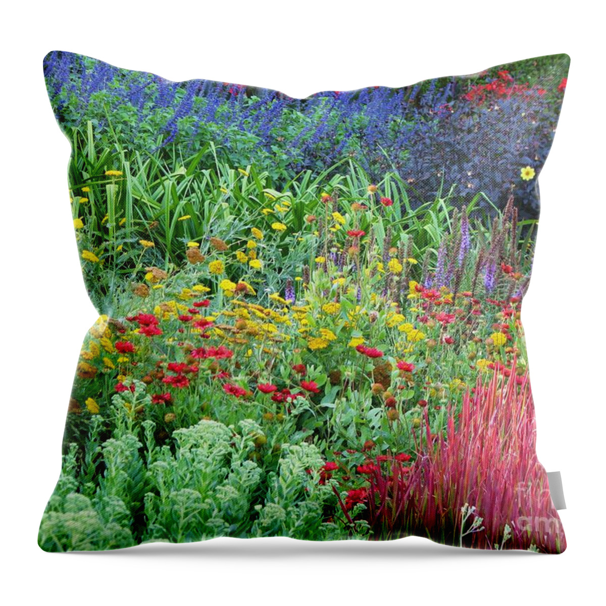 Garden Throw Pillow featuring the photograph Rainbow Garden by Michele Penner