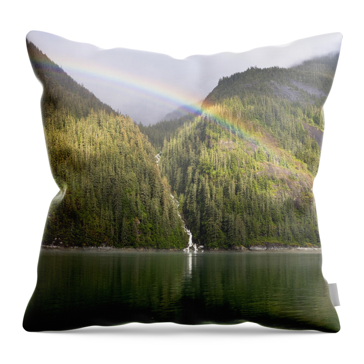 Mp Throw Pillow featuring the photograph Rainbow Over Forest, Endicott Arm by Konrad Wothe
