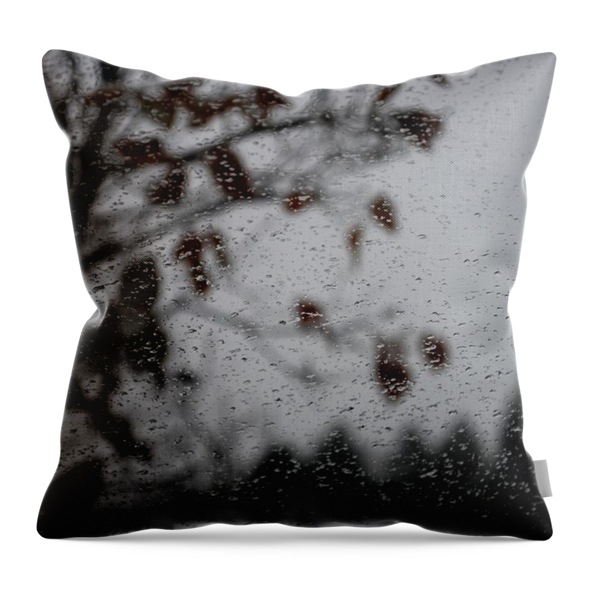 Dakota Throw Pillow featuring the photograph Raindrops in Autumn by Greni Graph