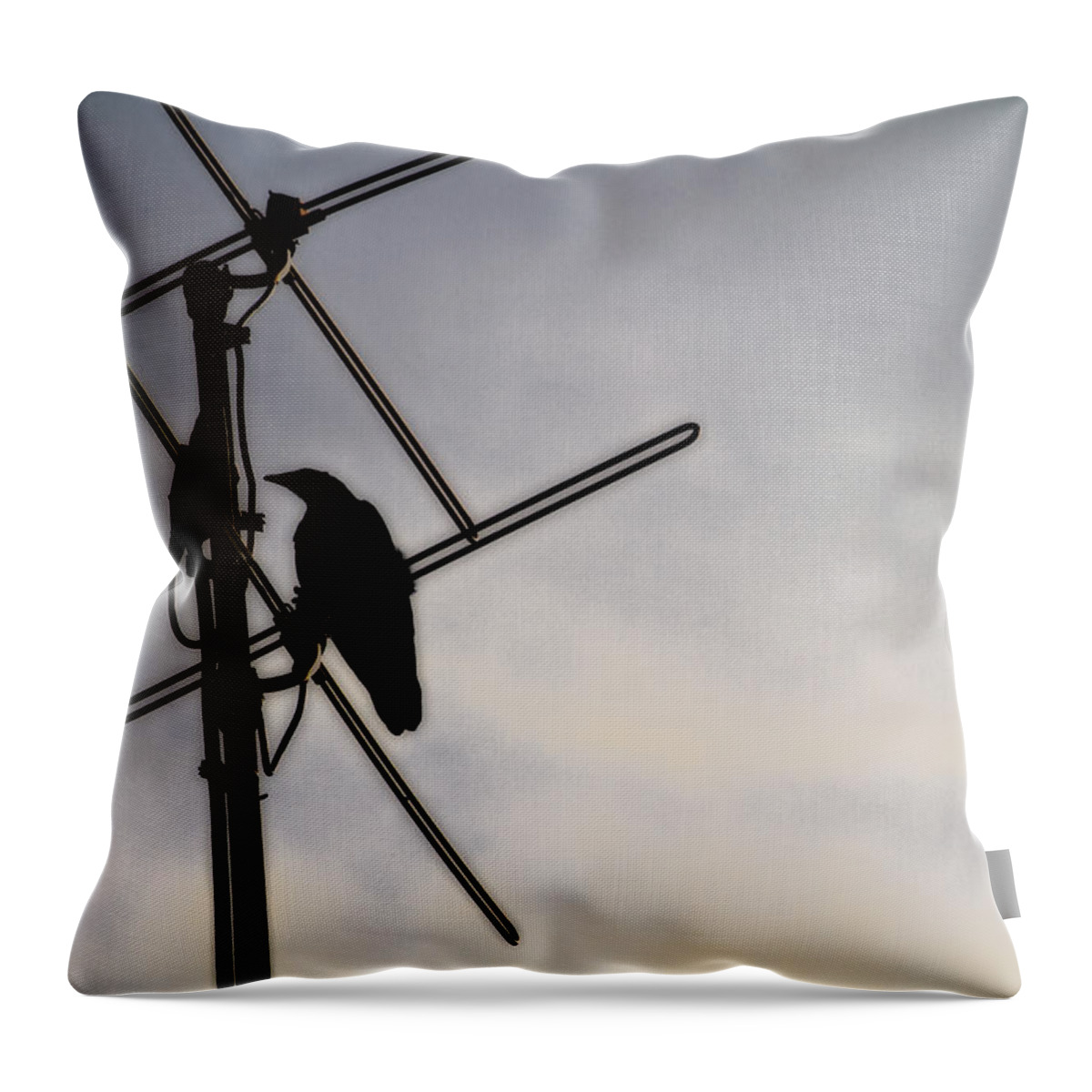 Raven Throw Pillow featuring the photograph Ravens Perch by Karol Livote
