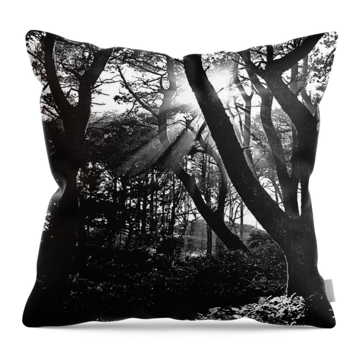 Seascape Throw Pillow featuring the photograph Ray of Light by Becky Thompson