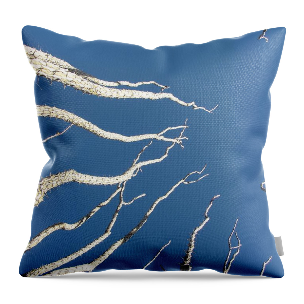 City Of Rocks State Park Throw Pillow featuring the photograph Reach High by FeVa Fotos