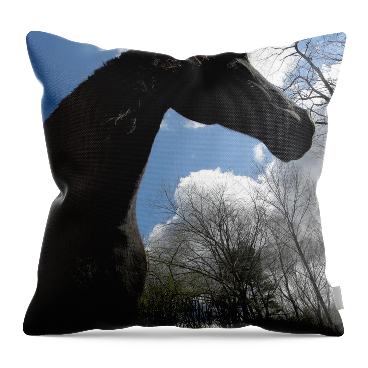 Friesians Throw Pillow featuring the photograph Reaching For The Clouds by Kim Galluzzo