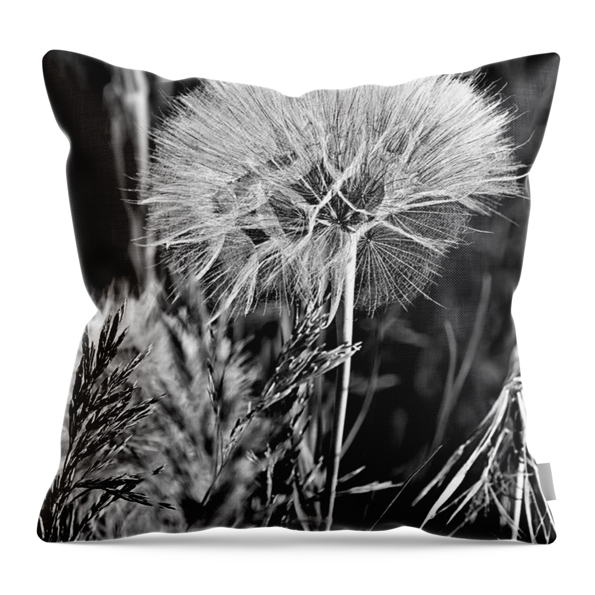 Flower Throw Pillow featuring the photograph Ready To Fly by Phyllis Denton