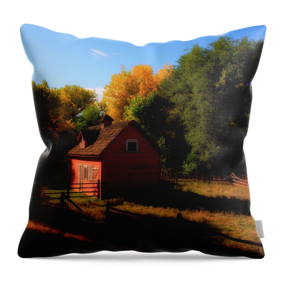 Barn Throw Pillow featuring the photograph Red Barn by Paul Beckelheimer