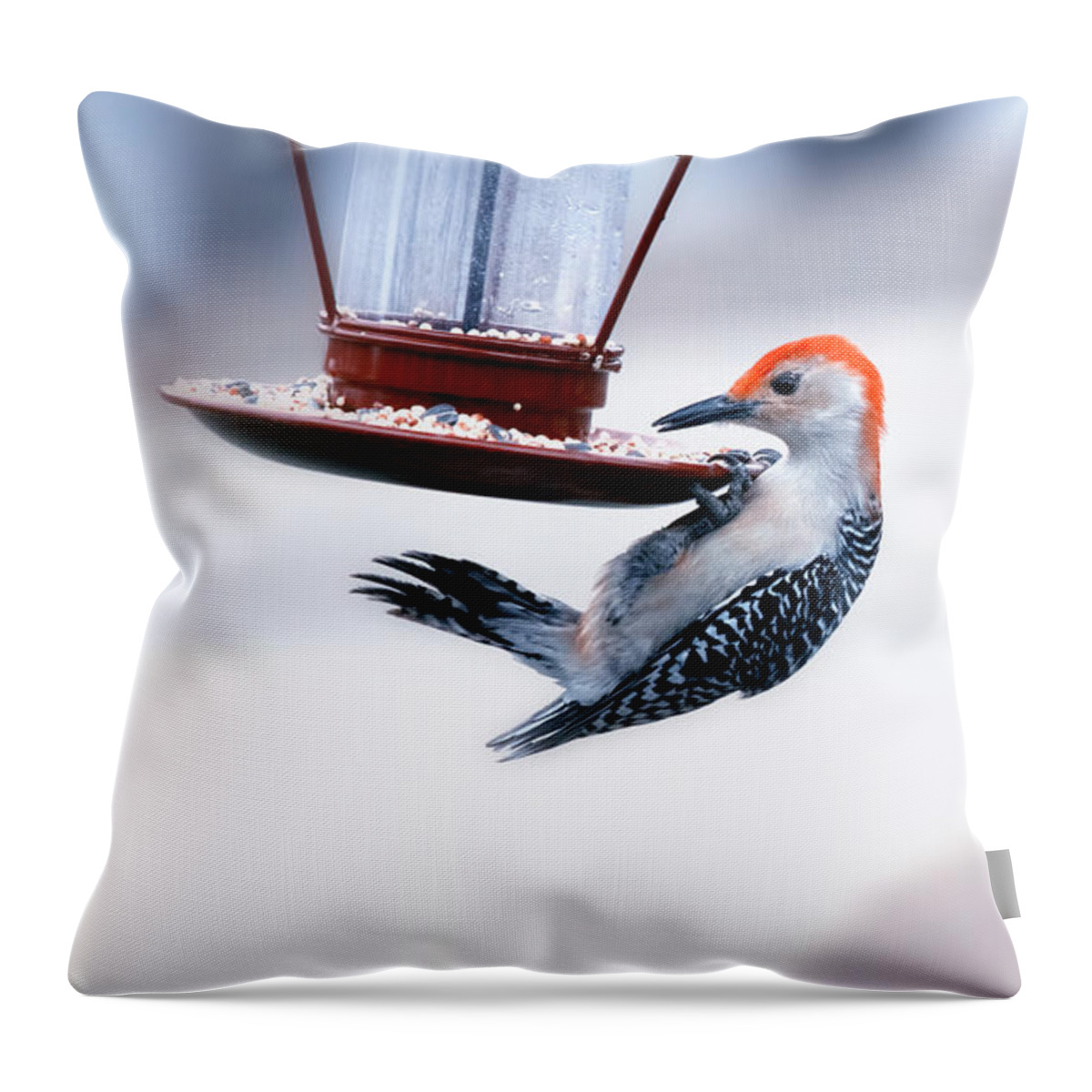 Bird Throw Pillow featuring the photograph Red-Bellied on Feeder by Bill and Linda Tiepelman