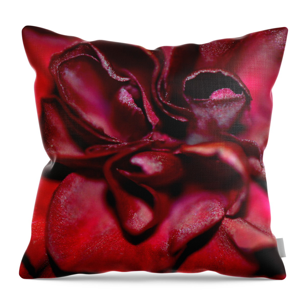 Carnation Throw Pillow featuring the photograph Red Carnation With Heart by Sandi OReilly