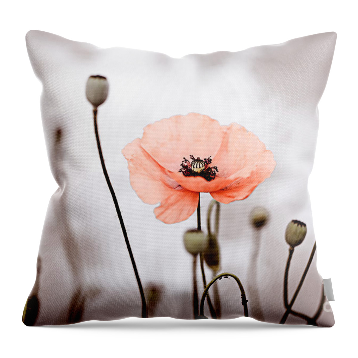 Poppy Throw Pillow featuring the photograph Red Corn Poppy Flowers 01 by Nailia Schwarz
