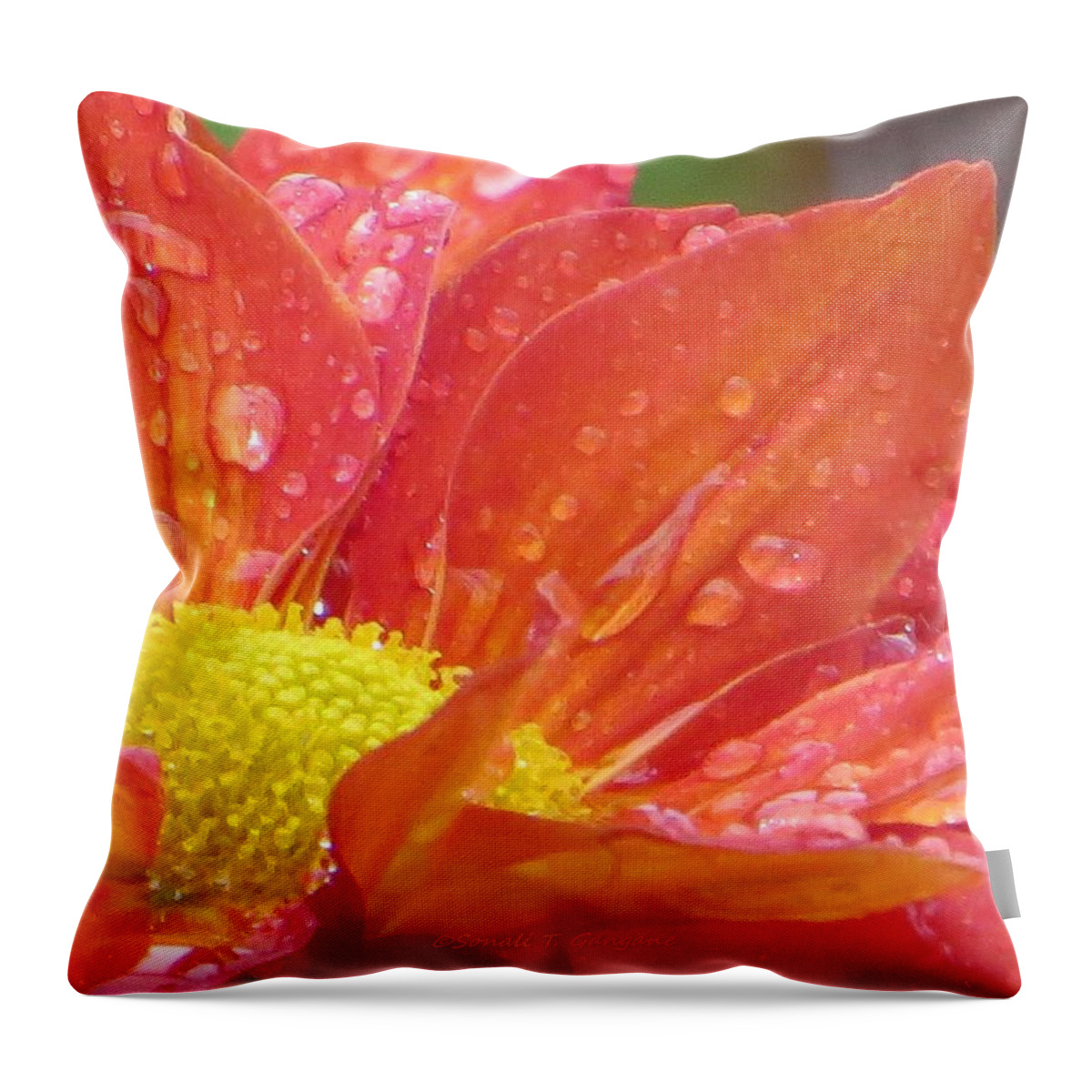 Pearls Throw Pillow featuring the photograph Red Craft by Sonali Gangane