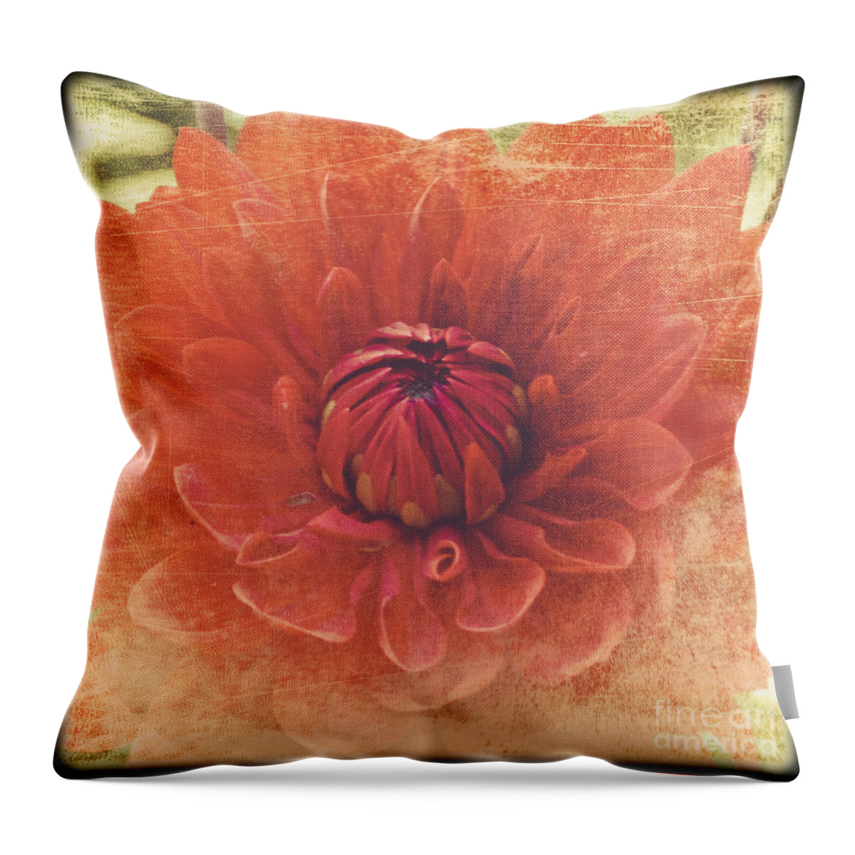 Flower Throw Pillow featuring the photograph Red Dahlia by Alana Ranney