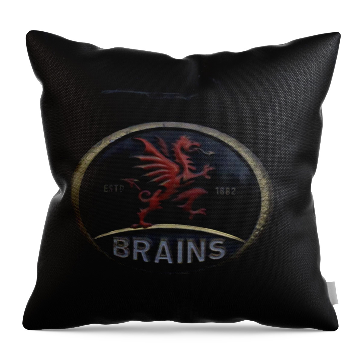 Brains Throw Pillow featuring the photograph Red Dragon by Ian Kowalski
