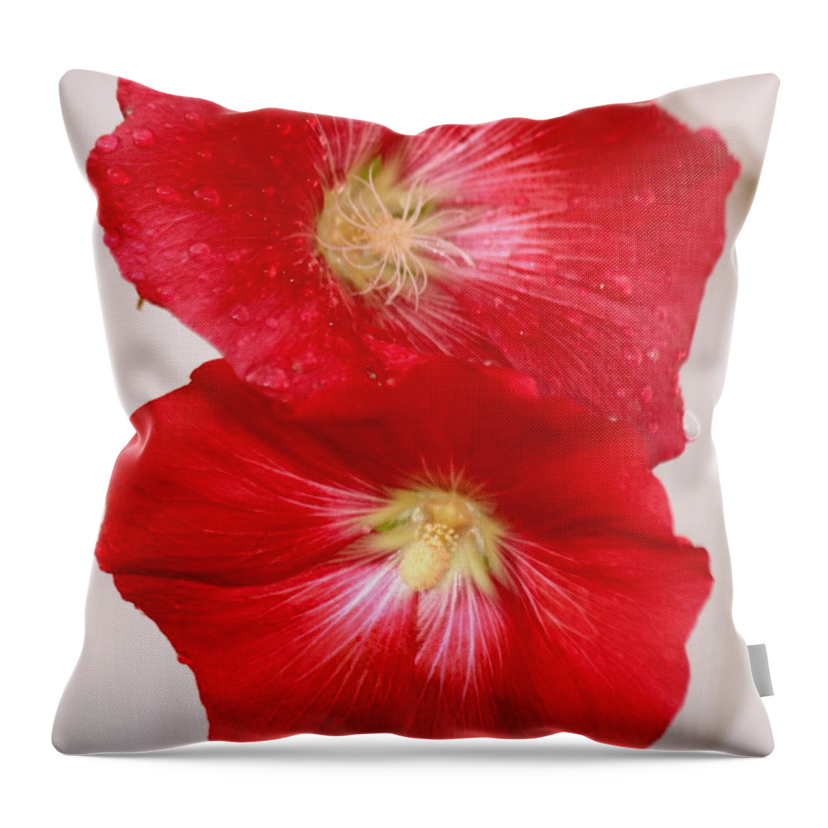 Red Hollyhocks Throw Pillow featuring the photograph Red Hollyhocks by Donna Walsh