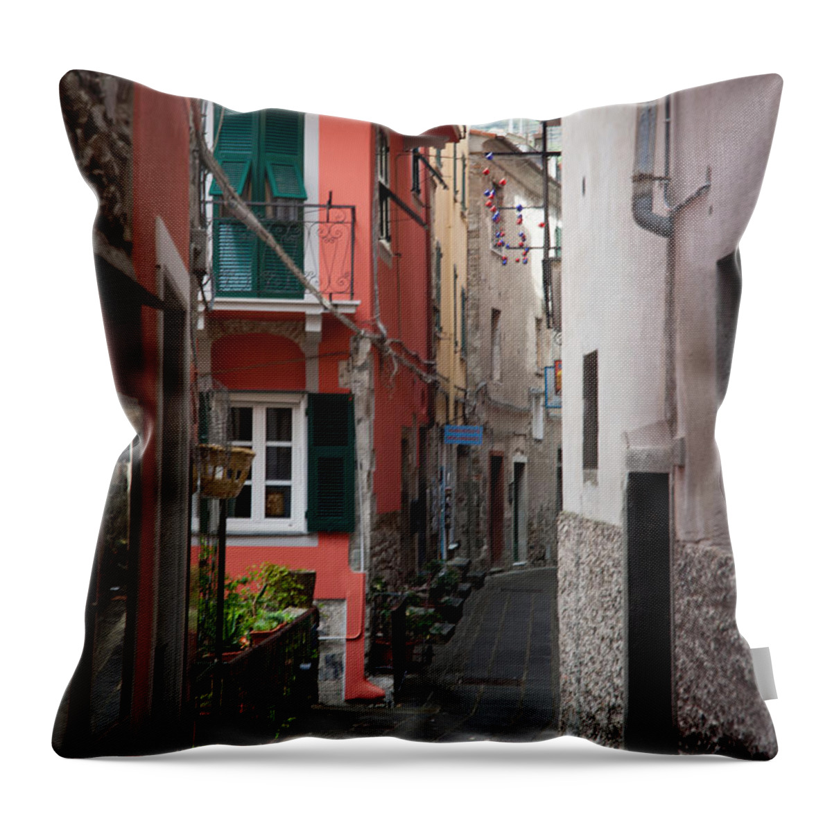 Riomaggiore Throw Pillow featuring the photograph Alleyway in Riomaggiore Cinque Terre Italy by Mike Reid