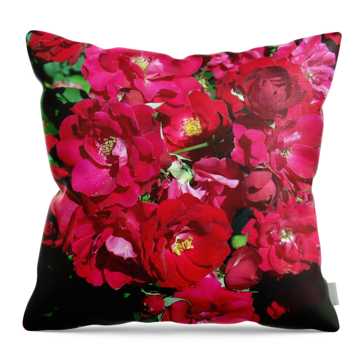 Rose Throw Pillow featuring the photograph Red Rose Bush by Corinne Elizabeth Cowherd