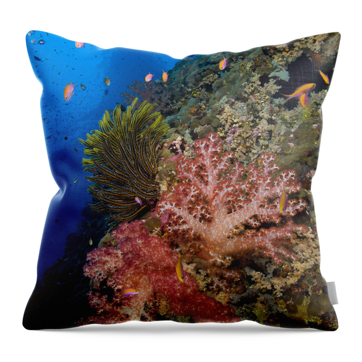 Anthozoa Throw Pillow featuring the photograph Red Soft Coral With Crinoid And Anthias by Steve Jones