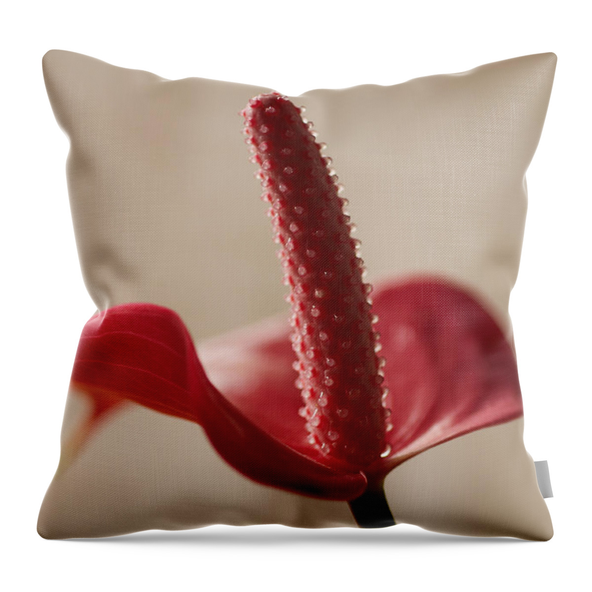 Flower Throw Pillow featuring the photograph Red Spathiphyllum by David Resnikoff