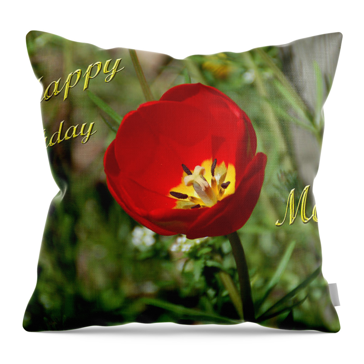 Tulip Throw Pillow featuring the photograph Red Tulip Birthday by Aimee L Maher ALM GALLERY