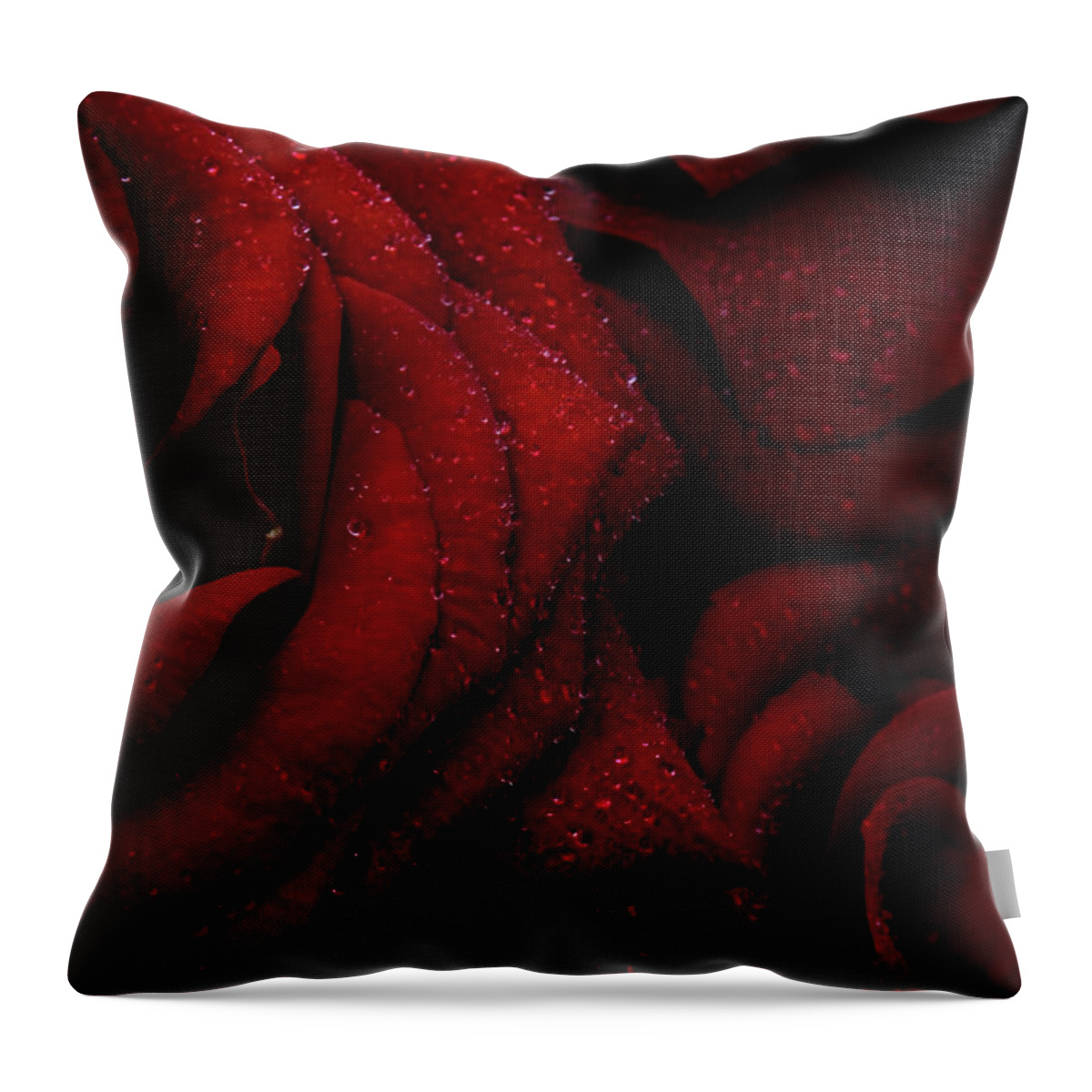 Rose Throw Pillow featuring the photograph Red Velvet Tears by Ann Garrett