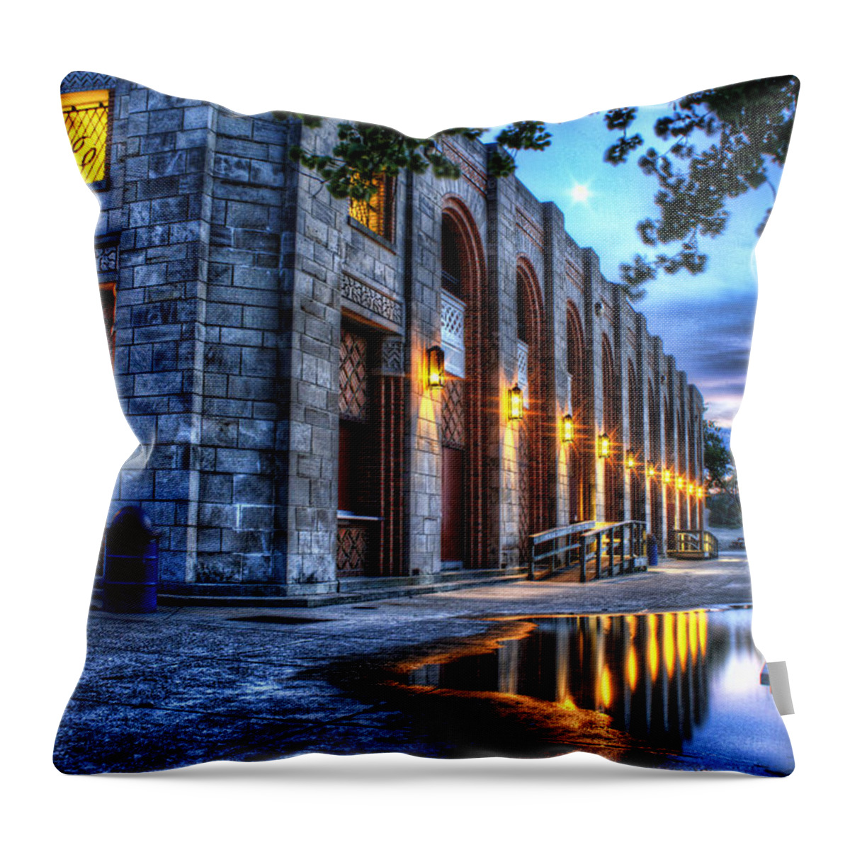 Reflection Throw Pillow featuring the photograph Reflections in a Puddle by Scott Wood