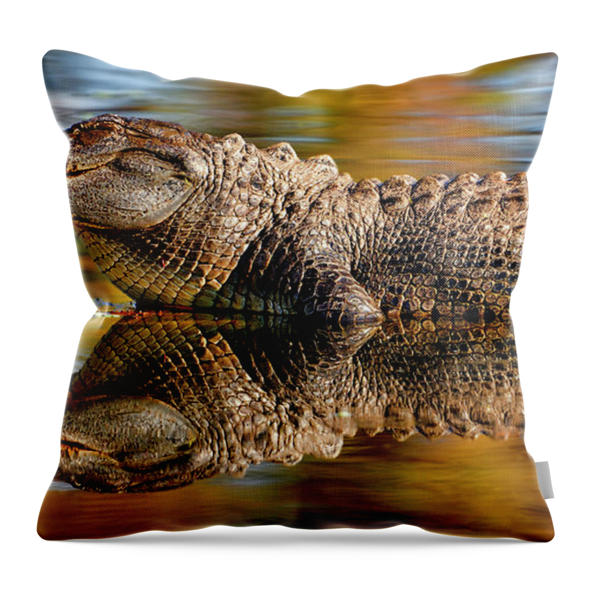 Reflection Throw Pillow featuring the photograph Relection of an Alligator by Bill Dodsworth