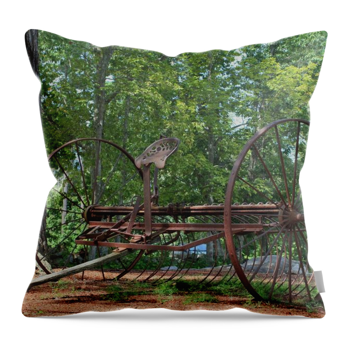 Retired Throw Pillow featuring the photograph Retired by Barbara S Nickerson