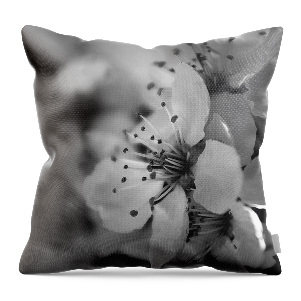 Photograph Throw Pillow featuring the photograph Rhapsody in mono by Vicki Pelham