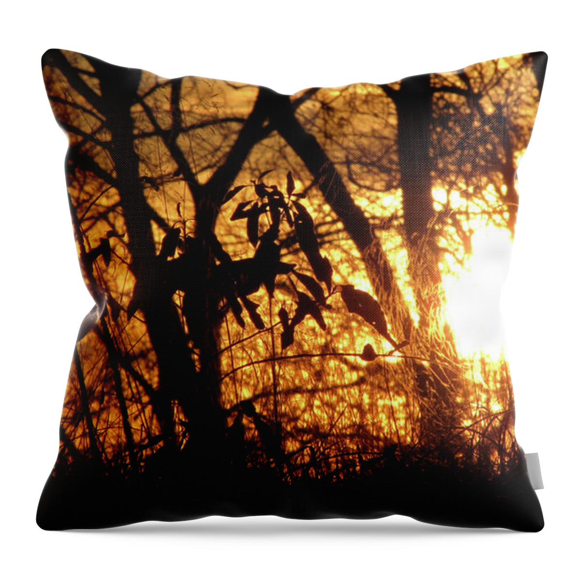 Landscape Throw Pillow featuring the photograph Ribbons of Light II by Amy Tyler