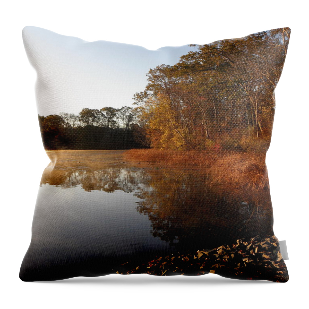 Reflections Throw Pillow featuring the photograph Rich Reflections by Kim Galluzzo