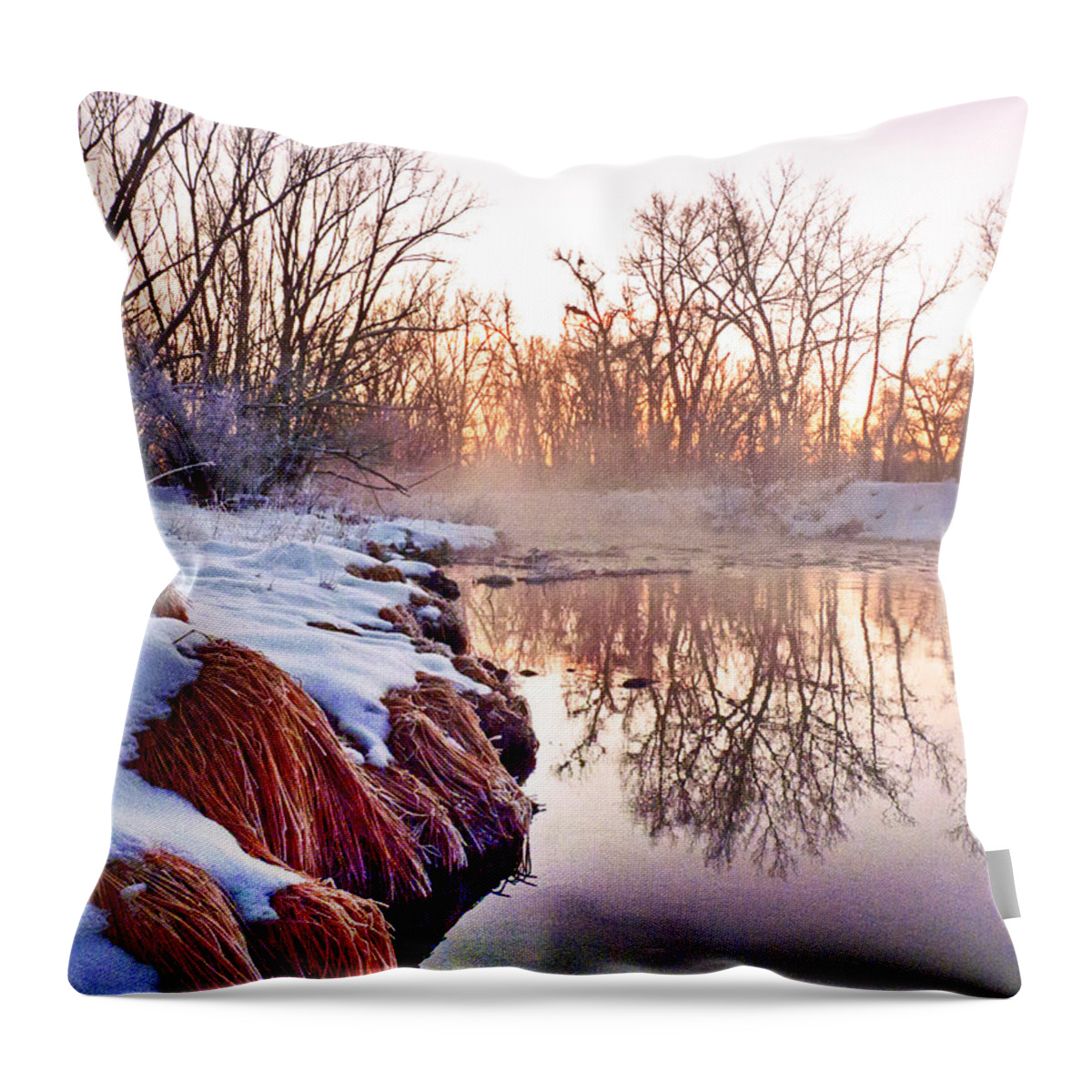 Frost Throw Pillow featuring the photograph River Grasses Colorado by William Fields