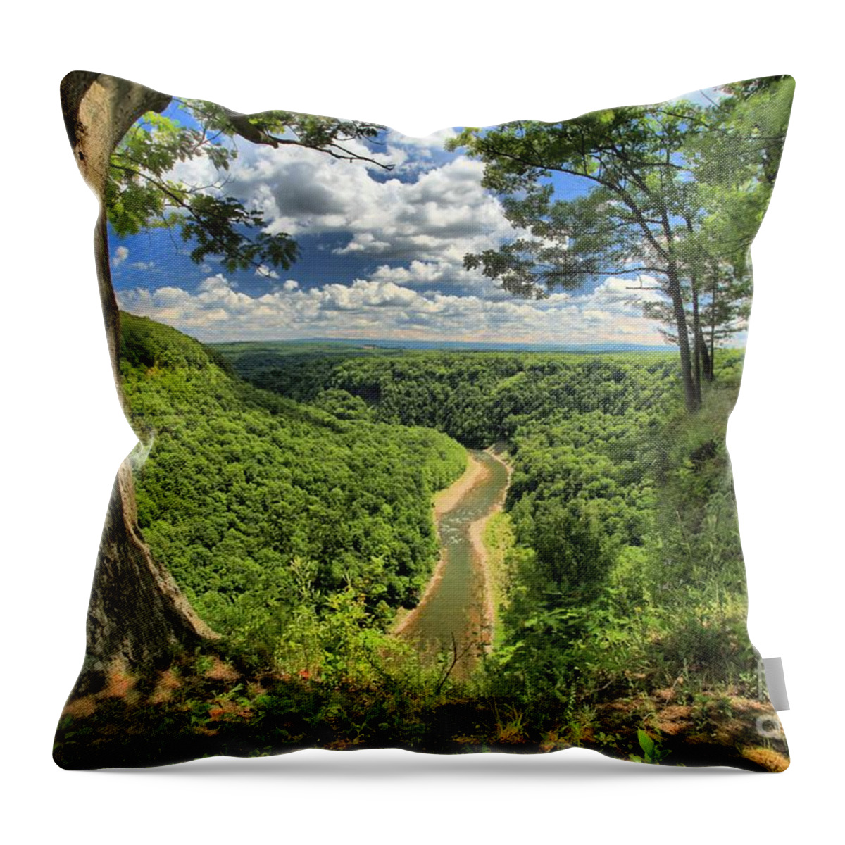 Letchworth State Park Throw Pillow featuring the photograph River In The Valley by Adam Jewell