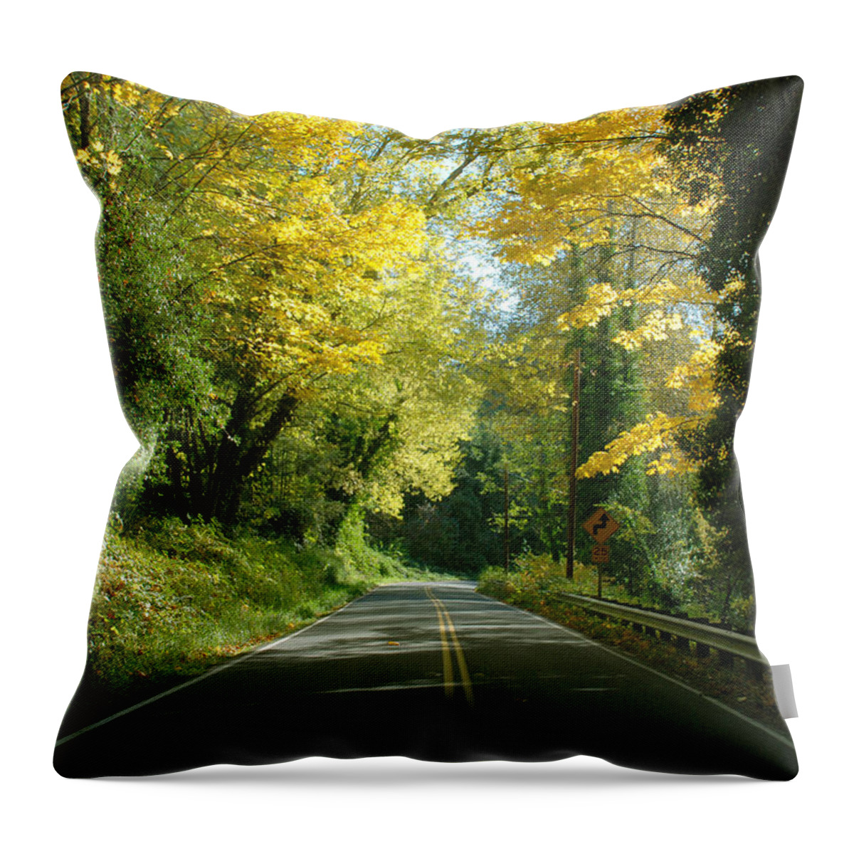 Landscape Throw Pillow featuring the photograph Road through Autumn by Kathleen Grace
