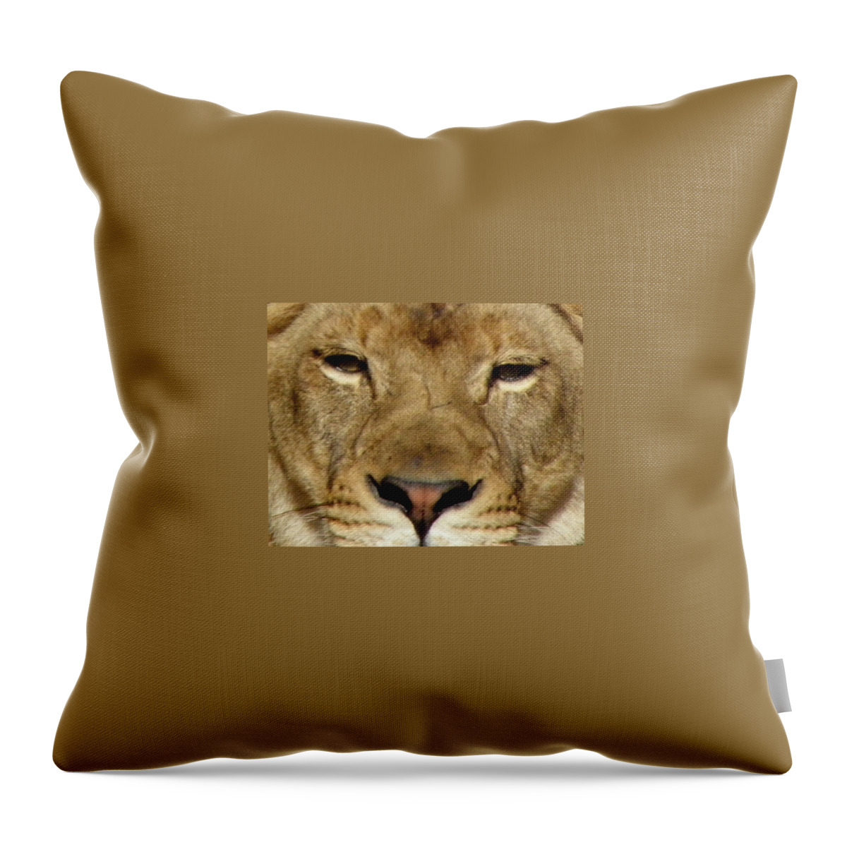 Lion Throw Pillow featuring the photograph Roar by Kim Galluzzo