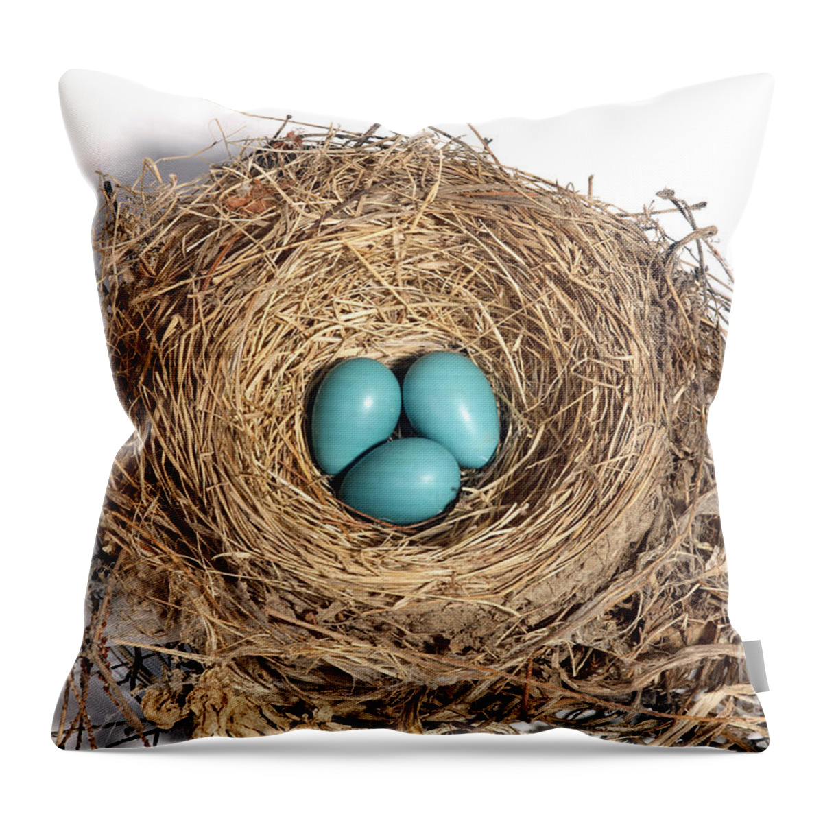 American Robin Throw Pillow featuring the photograph Robins Nest With Eggs by Ted Kinsman