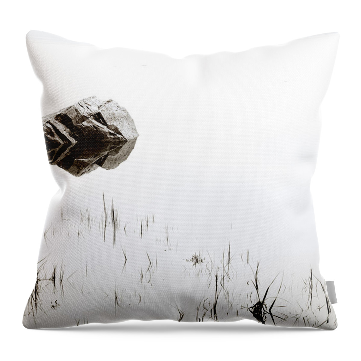 Pond Throw Pillow featuring the photograph Rock in the Water by Steve Gadomski