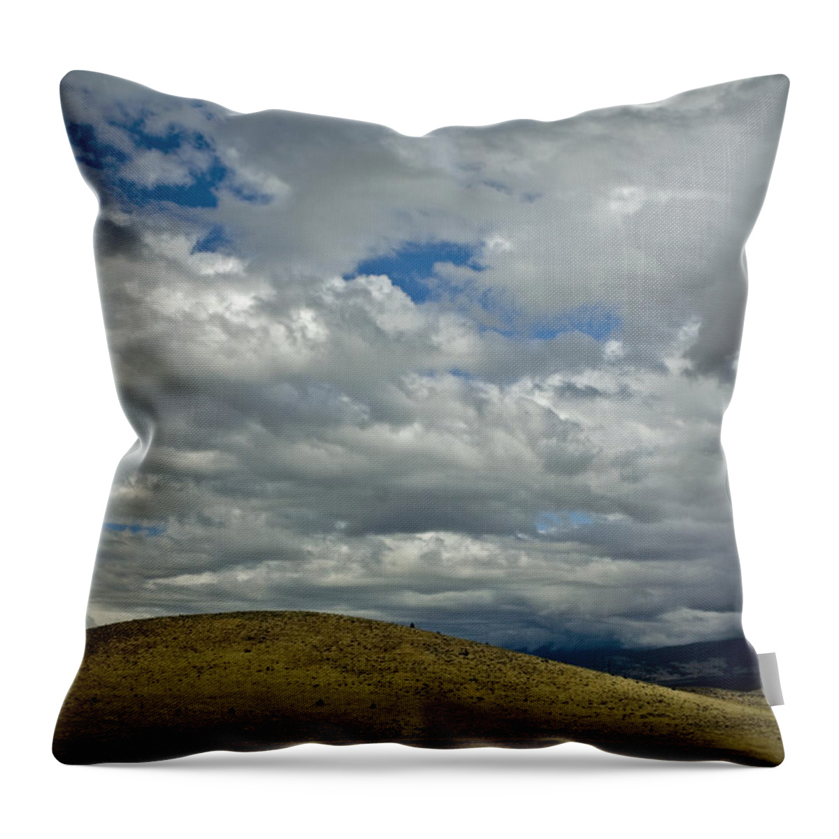 Rolling Hills Throw Pillow featuring the photograph Rolling Hills by Bonnie Bruno