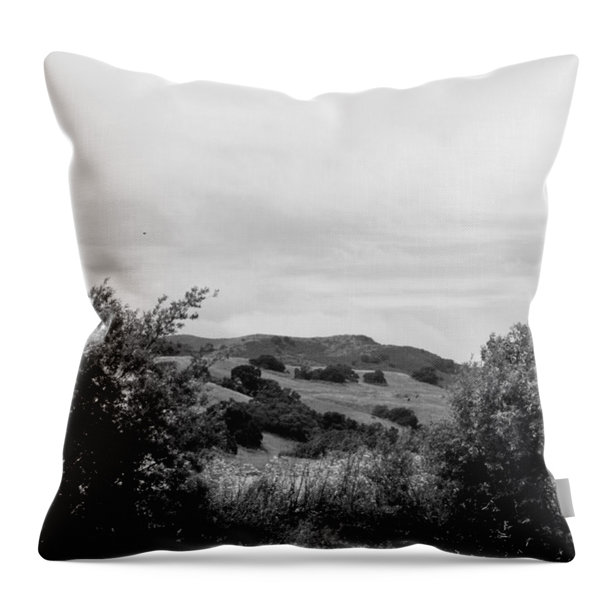 Black And White Throw Pillow featuring the photograph Rolling Hills View II - BW by Kathleen Grace