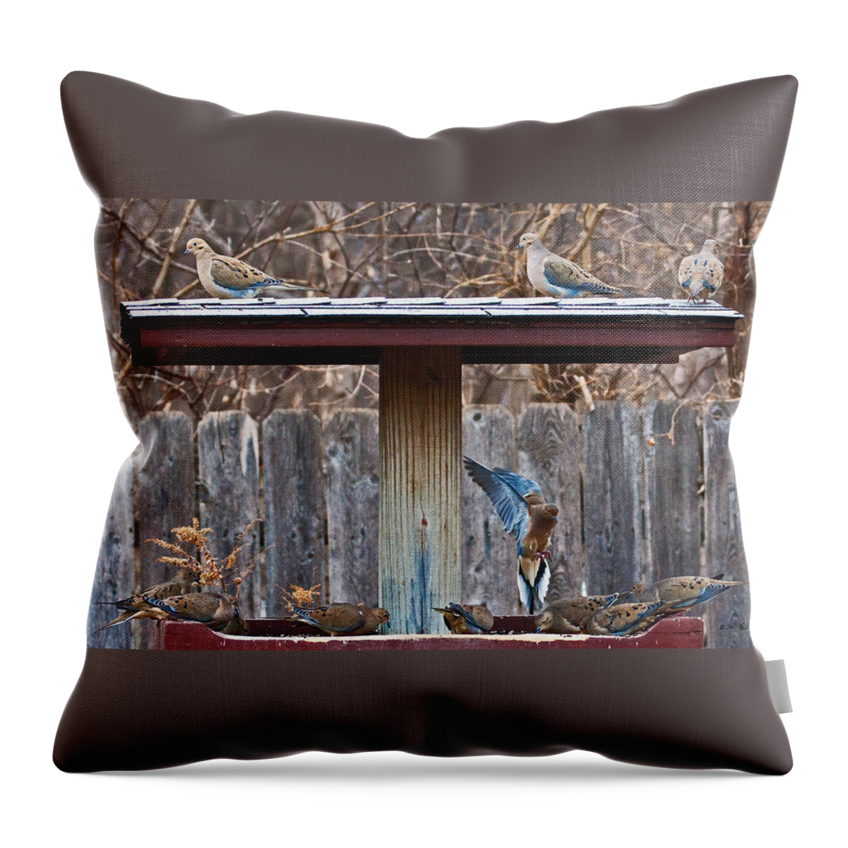 Heron Heaven Throw Pillow featuring the photograph Room For One More by Ed Peterson